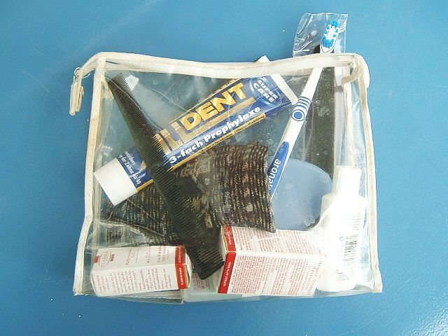 Clear travel toiletry bag